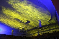 img_7546.jpg